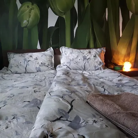 Tulips - Guest Close To The Airport, Free Street Parking *