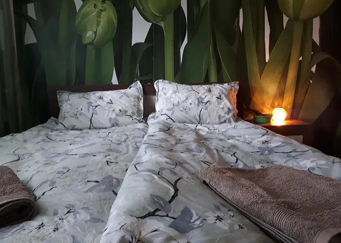 Tulips - For Travelers, Close To The Airport, Transport Possible *