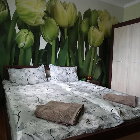 Tulips - For Travelers, Close To The Airport, Transport Possible Alloggio in famiglia